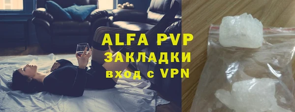 PSILOCYBIN Майский