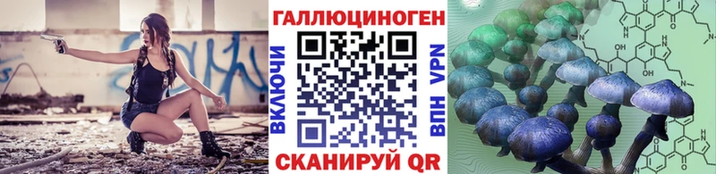 Галлюциногенные грибы Psilocybe как найти наркотики Урень